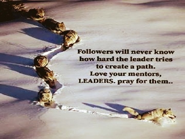 ADOPTION OF IPSAS IN RWANDA 29 