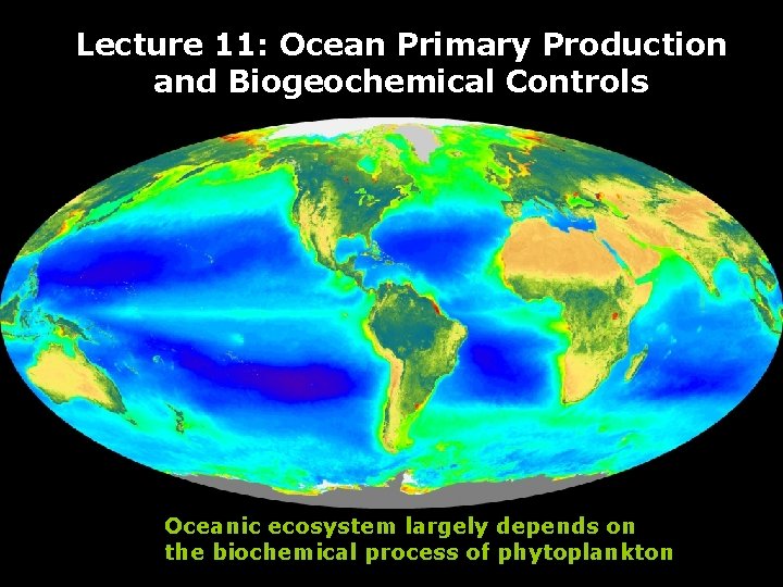 Lecture 11: Ocean Primary Production and Biogeochemical Controls Oceanic ecosystem largely depends on the