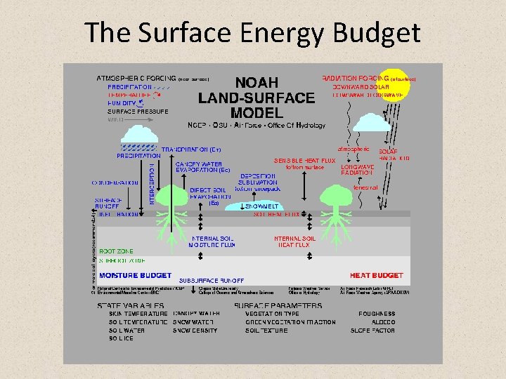 The Surface Energy Budget 