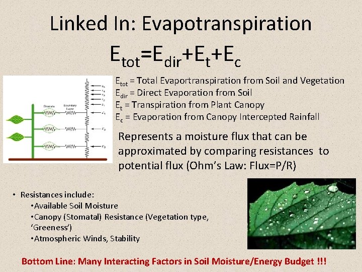 Linked In: Evapotranspiration Etot=Edir+Et+Ec Etot = Total Evaportranspiration from Soil and Vegetation Edir =