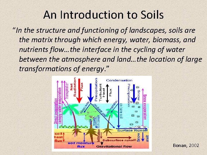 An Introduction to Soils “In the structure and functioning of landscapes, soils are the