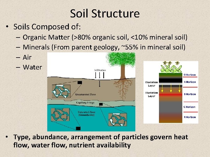 Soil Structure • Soils Composed of: – Organic Matter (>80% organic soil, <10% mineral