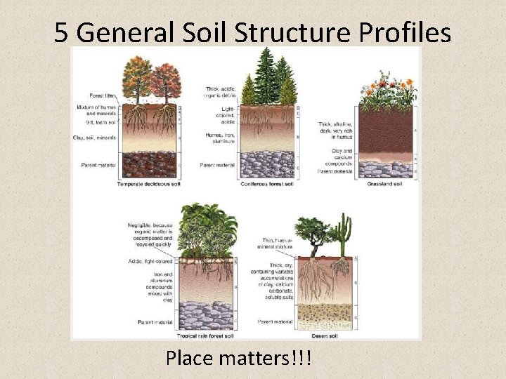 5 General Soil Structure Profiles Place matters!!! 
