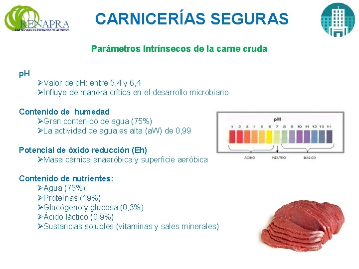 CARNICERÍAS SEGURAS Parámetros Intrínsecos de la carne cruda p. H ØValor de p. H: