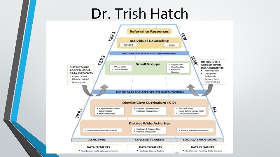 Dr. Trish Hatch 