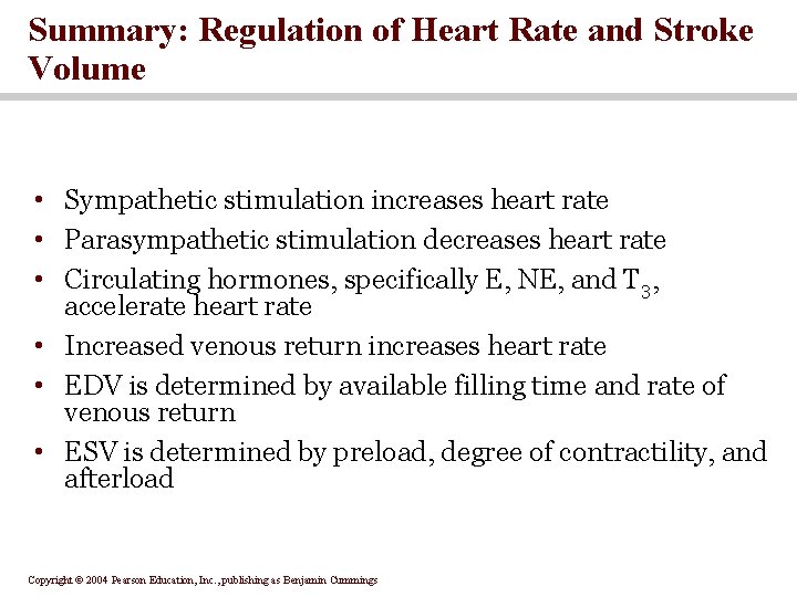 Summary: Regulation of Heart Rate and Stroke Volume • Sympathetic stimulation increases heart rate