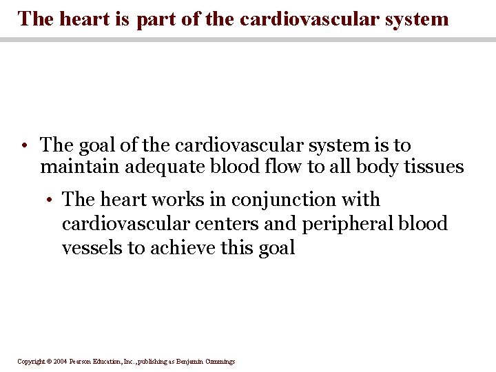 The heart is part of the cardiovascular system • The goal of the cardiovascular