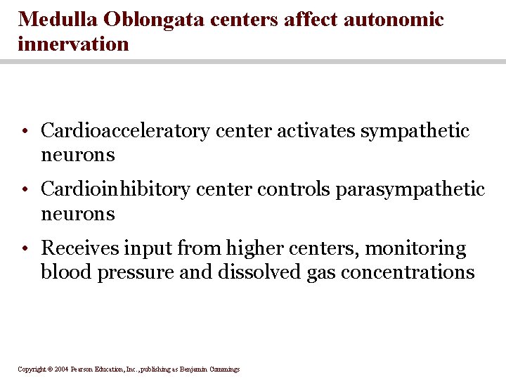 Medulla Oblongata centers affect autonomic innervation • Cardioacceleratory center activates sympathetic neurons • Cardioinhibitory