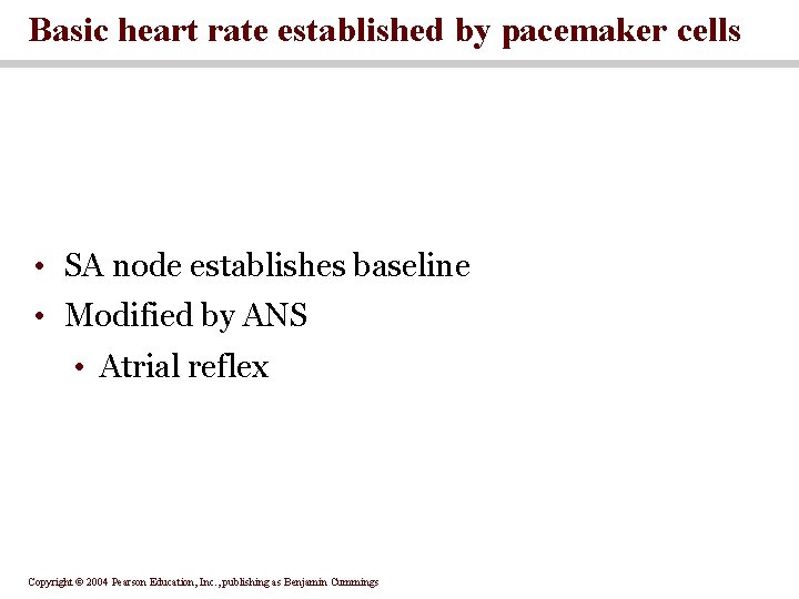 Basic heart rate established by pacemaker cells • SA node establishes baseline • Modified