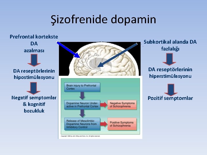 Şizofrenide dopamin Prefrontal kortekste DA azalması Subkortikal alanda DA fazlalığı DA reseptörlerinin hipostimülasyonu DA