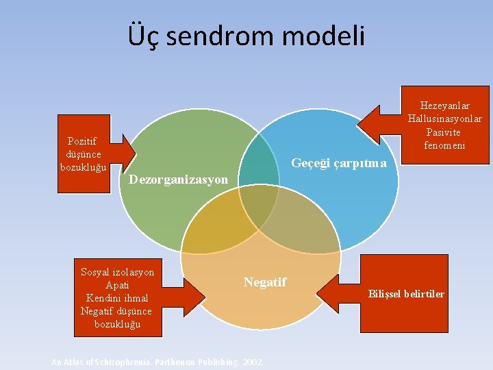 Üç sendrom modeli Pozitif düşünce bozukluğu Hezeyanlar Hallusinasyonlar Pasivite fenomeni Geçeği çarpıtma Dezorganizasyon Sosyal