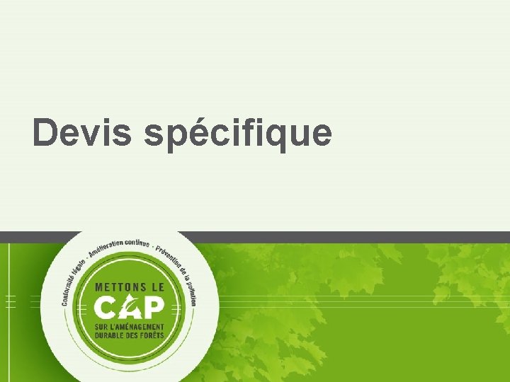 Devis spécifique 41 