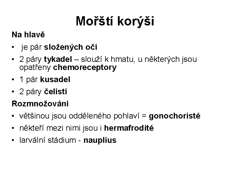 Mořští korýši Na hlavě • je pár složených očí • 2 páry tykadel –