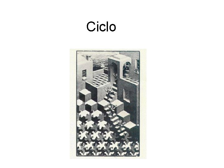 Ciclo 