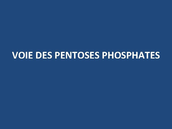 VOIE DES PENTOSES PHOSPHATES 