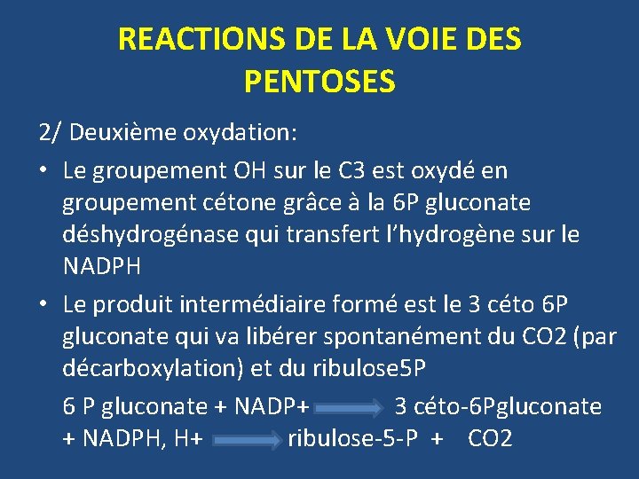 REACTIONS DE LA VOIE DES PENTOSES 2/ Deuxième oxydation: • Le groupement OH sur