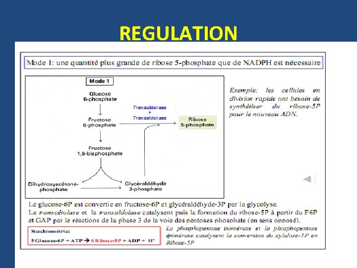 REGULATION 