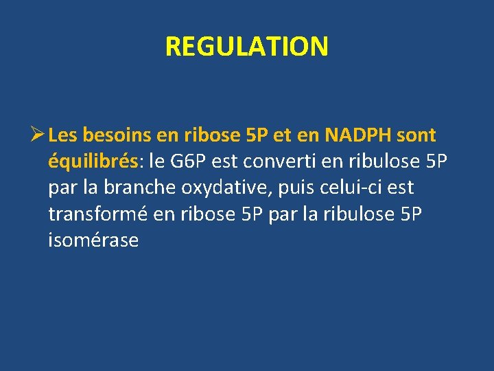 REGULATION Ø Les besoins en ribose 5 P et en NADPH sont équilibrés: le