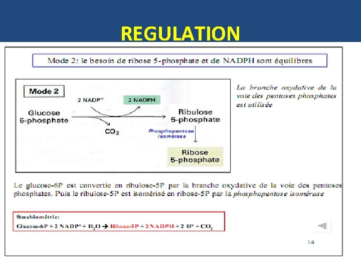 REGULATION 