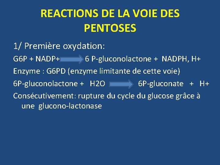 REACTIONS DE LA VOIE DES PENTOSES 1/ Première oxydation: G 6 P + NADP+