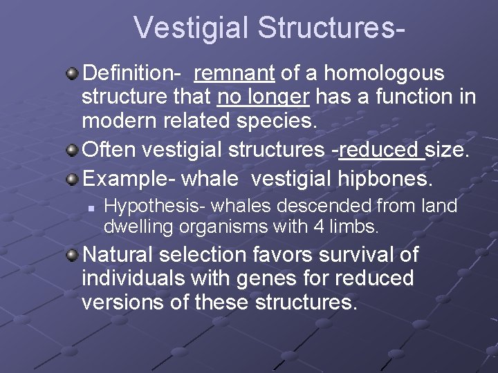 Vestigial Structures. Definition- remnant of a homologous structure that no longer has a function