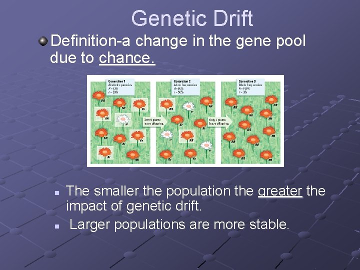 Genetic Drift Definition-a change in the gene pool due to chance. n n The