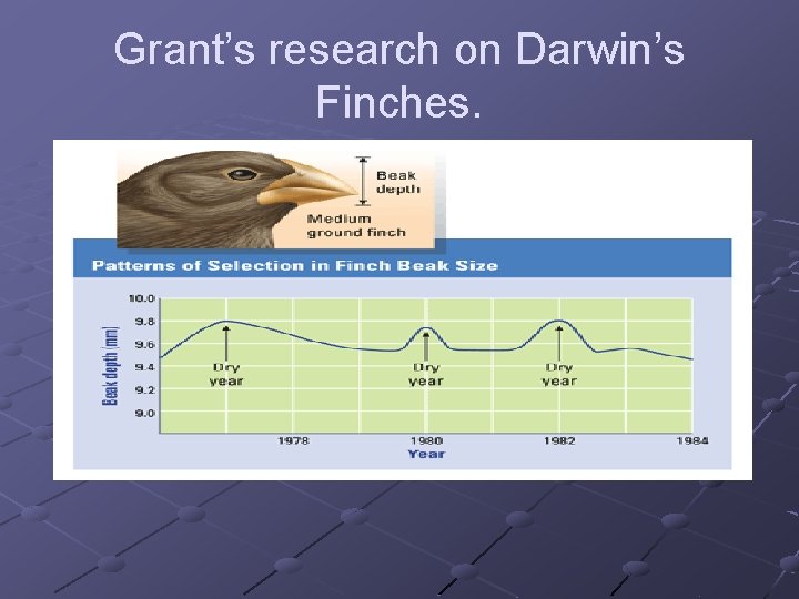 Grant’s research on Darwin’s Finches. 