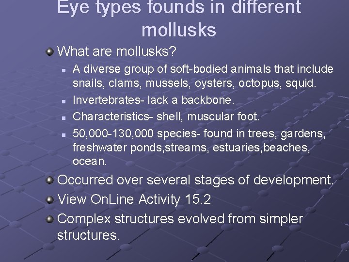 Eye types founds in different mollusks What are mollusks? n n A diverse group