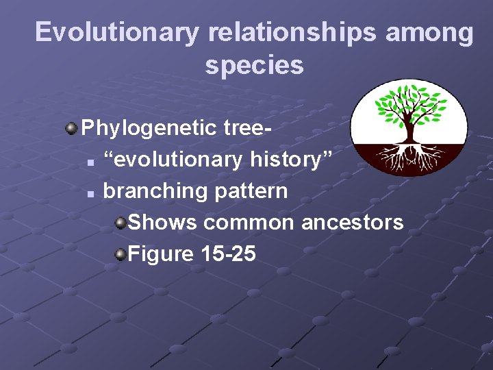 Evolutionary relationships among species Phylogenetic treen “evolutionary history” n branching pattern Shows common ancestors