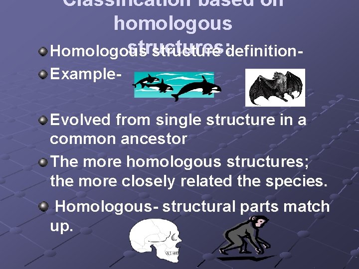 Classification based on homologous structures: Homologous structure definition. Example. Evolved from single structure in