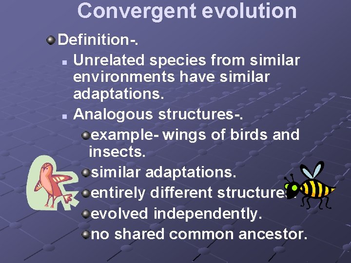 Convergent evolution Definition-. n Unrelated species from similar environments have similar adaptations. n Analogous