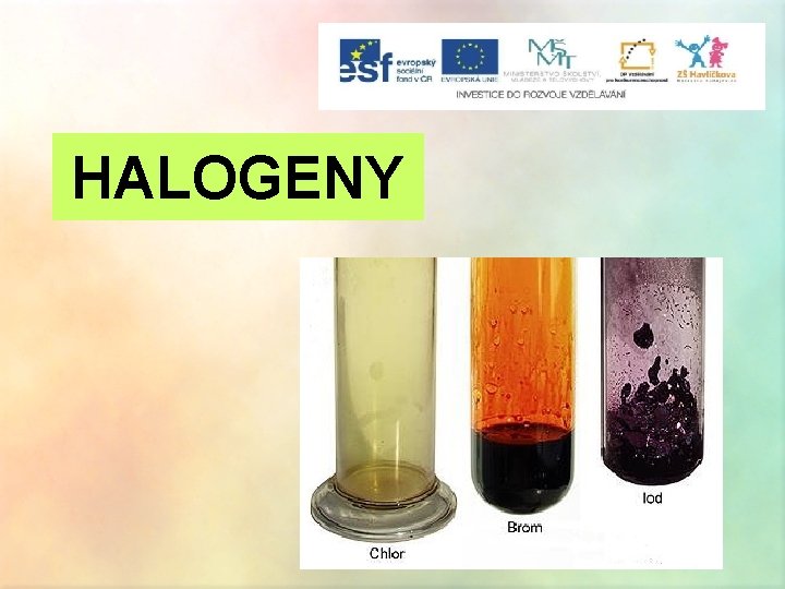 HALOGENY 