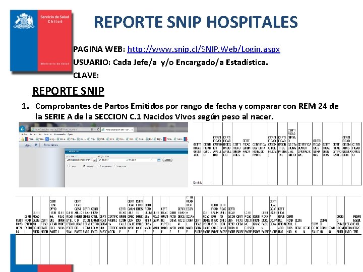 REPORTE SNIP HOSPITALES PAGINA WEB: http: //www. snip. cl/SNIP. Web/Login. aspx USUARIO: Cada Jefe/a