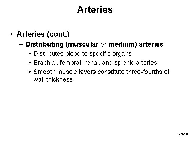Arteries • Arteries (cont. ) – Distributing (muscular or medium) arteries • Distributes blood Arteries • Arteries (cont. ) – Distributing (muscular or medium) arteries • Distributes blood