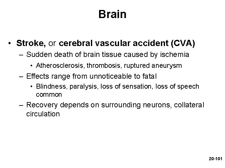 Brain • Stroke, or cerebral vascular accident (CVA) – Sudden death of brain tissue Brain • Stroke, or cerebral vascular accident (CVA) – Sudden death of brain tissue