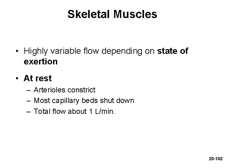 Skeletal Muscles • Highly variable flow depending on state of exertion • At rest Skeletal Muscles • Highly variable flow depending on state of exertion • At rest