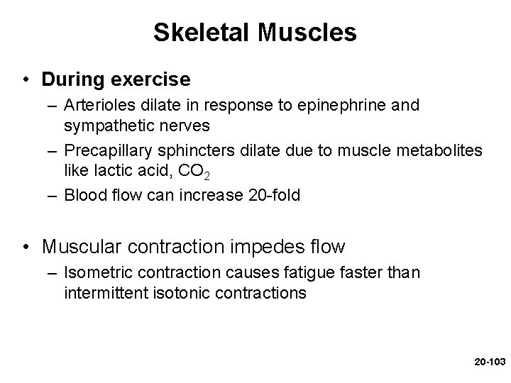 Skeletal Muscles • During exercise – Arterioles dilate in response to epinephrine and sympathetic Skeletal Muscles • During exercise – Arterioles dilate in response to epinephrine and sympathetic