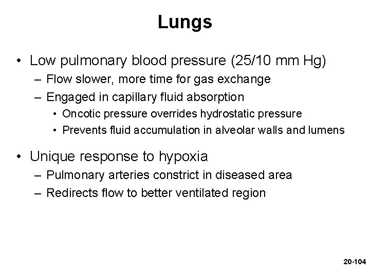 Lungs • Low pulmonary blood pressure (25/10 mm Hg) – Flow slower, more time Lungs • Low pulmonary blood pressure (25/10 mm Hg) – Flow slower, more time