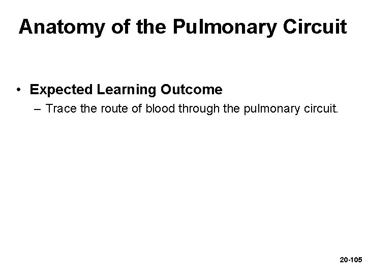 Anatomy of the Pulmonary Circuit • Expected Learning Outcome – Trace the route of Anatomy of the Pulmonary Circuit • Expected Learning Outcome – Trace the route of
