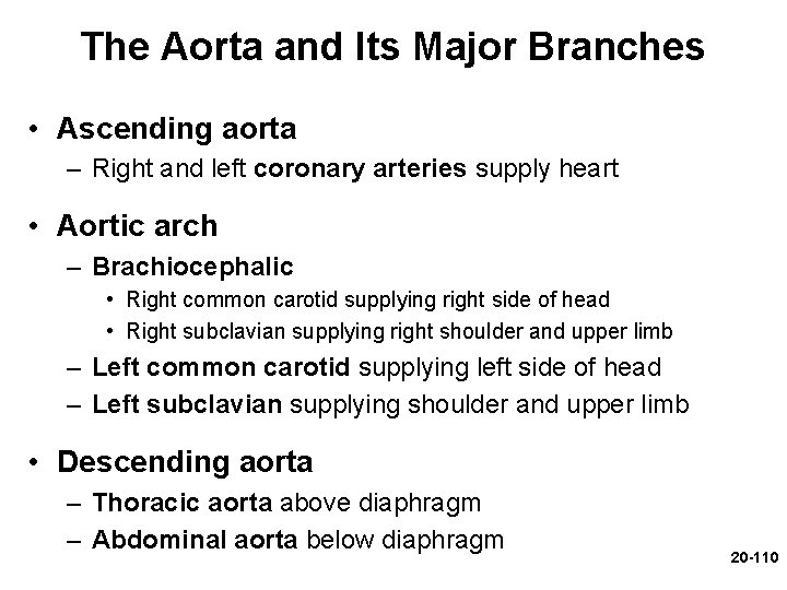 The Aorta and Its Major Branches • Ascending aorta – Right and left coronary The Aorta and Its Major Branches • Ascending aorta – Right and left coronary