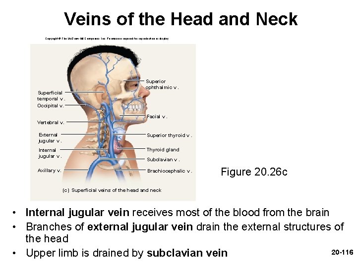Veins of the Head and Neck Copyright © The Mc. Graw-Hill Companies, Inc. Permission Veins of the Head and Neck Copyright © The Mc. Graw-Hill Companies, Inc. Permission
