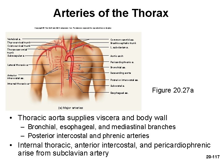 Arteries of the Thorax Copyright © The Mc. Graw-Hill Companies, Inc. Permission required for Arteries of the Thorax Copyright © The Mc. Graw-Hill Companies, Inc. Permission required for