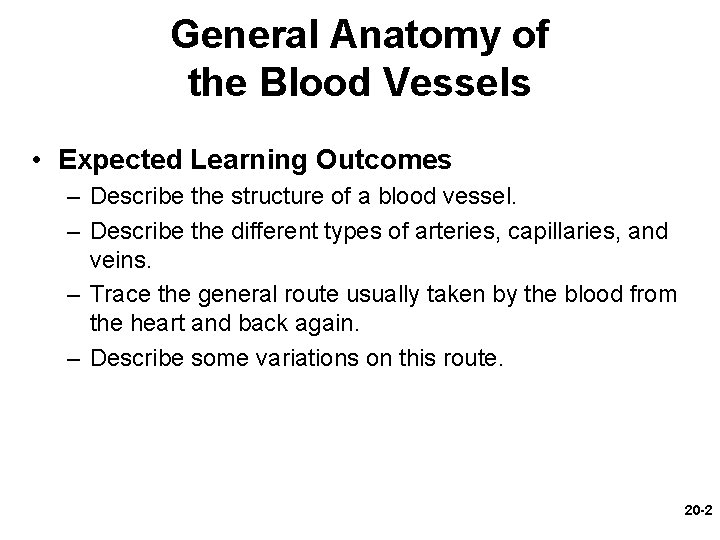 General Anatomy of the Blood Vessels • Expected Learning Outcomes – Describe the structure General Anatomy of the Blood Vessels • Expected Learning Outcomes – Describe the structure