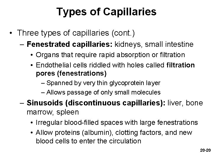 Types of Capillaries • Three types of capillaries (cont. ) – Fenestrated capillaries: kidneys, Types of Capillaries • Three types of capillaries (cont. ) – Fenestrated capillaries: kidneys,