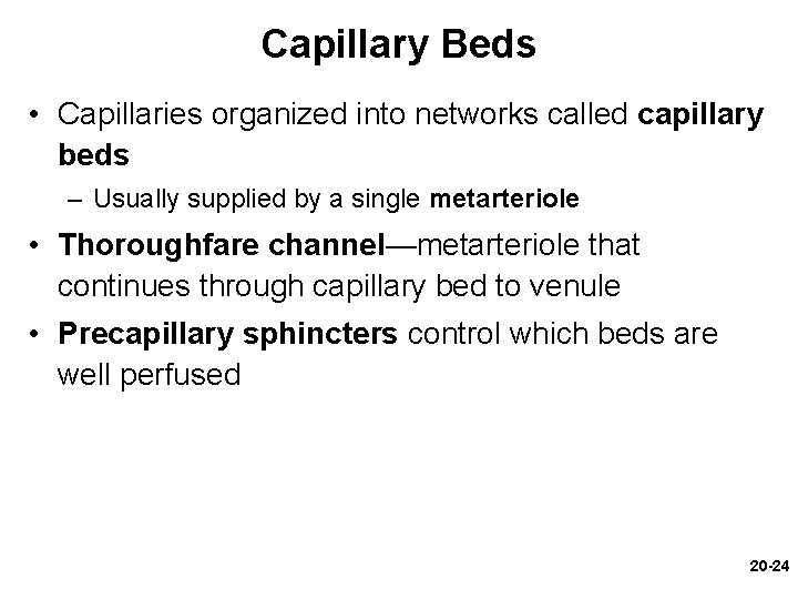 Capillary Beds • Capillaries organized into networks called capillary beds – Usually supplied by Capillary Beds • Capillaries organized into networks called capillary beds – Usually supplied by