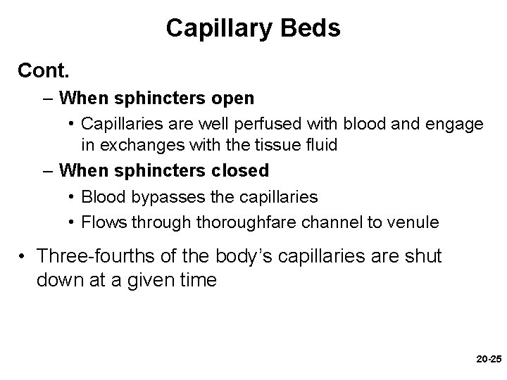 Capillary Beds Cont. – When sphincters open • Capillaries are well perfused with blood Capillary Beds Cont. – When sphincters open • Capillaries are well perfused with blood
