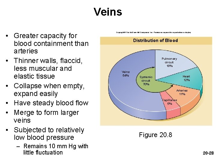 Veins • Greater capacity for blood containment than arteries • Thinner walls, flaccid, less Veins • Greater capacity for blood containment than arteries • Thinner walls, flaccid, less