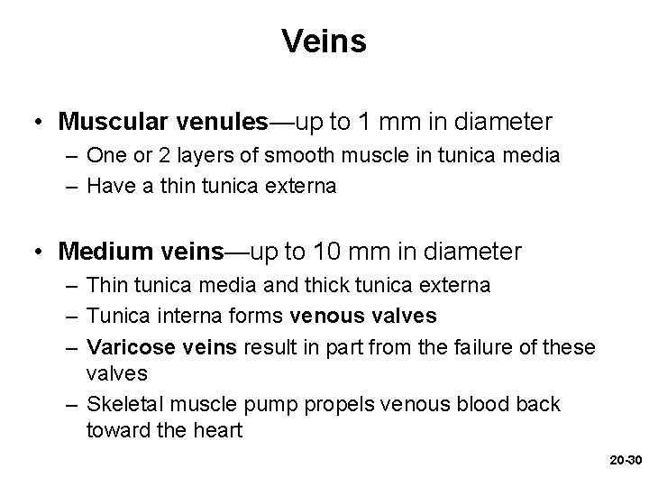 Veins • Muscular venules—up to 1 mm in diameter – One or 2 layers Veins • Muscular venules—up to 1 mm in diameter – One or 2 layers
