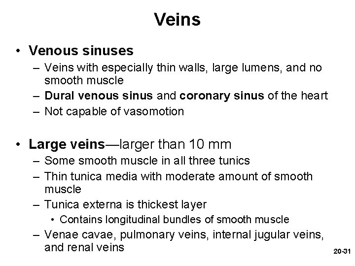 Veins • Venous sinuses – Veins with especially thin walls, large lumens, and no Veins • Venous sinuses – Veins with especially thin walls, large lumens, and no
