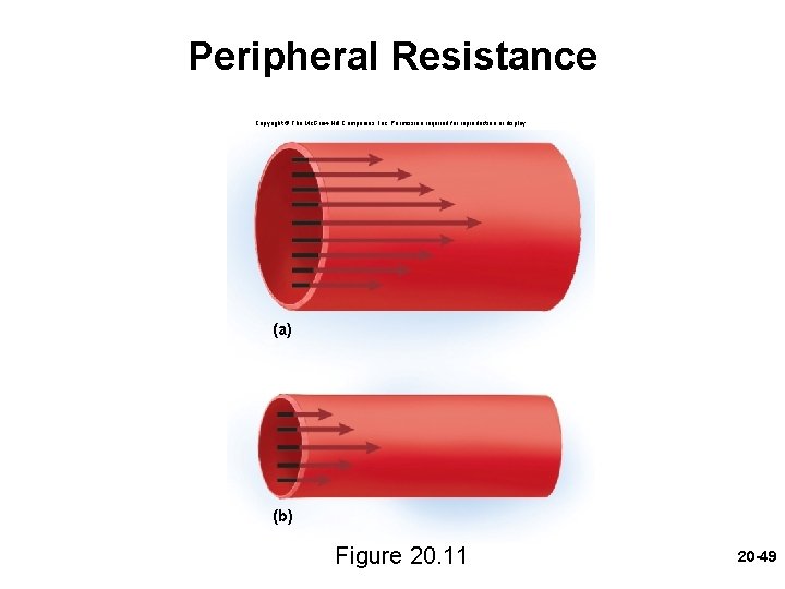 Peripheral Resistance Copyright © The Mc. Graw-Hill Companies, Inc. Permission required for reproduction or Peripheral Resistance Copyright © The Mc. Graw-Hill Companies, Inc. Permission required for reproduction or